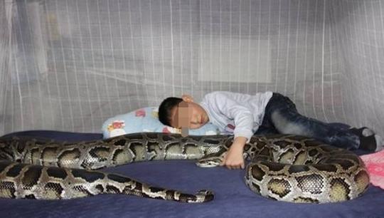 母亲肝癌去世，儿子每天抱着一条蛇，得知缘由，父亲瘫在地上