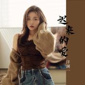 迟来的爱(洋澜一)