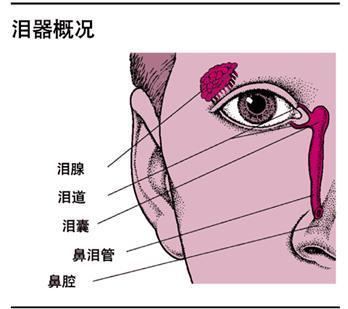 宝宝泪道冲洗很痛苦吗