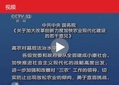 完善粮食,棉花,食糖等重要农产品进出口和关税配额管理,严格执行