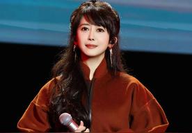 孟庭苇的成名作品有哪些（孟庭苇是靠什么火的）