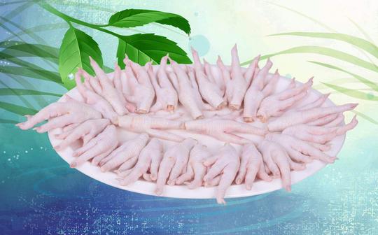 生鲜凤爪冷冻新鲜短鸡爪生鸡脚短凤爪鸡脚泡椒卤味食材2斤/包