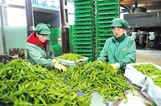 农产品加工隐藏千万商机,到底加工什么产品最好赚钱呢