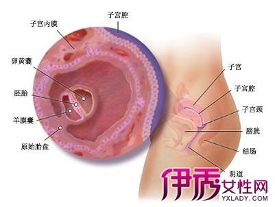 子宫内膜长不起来,怎么办
