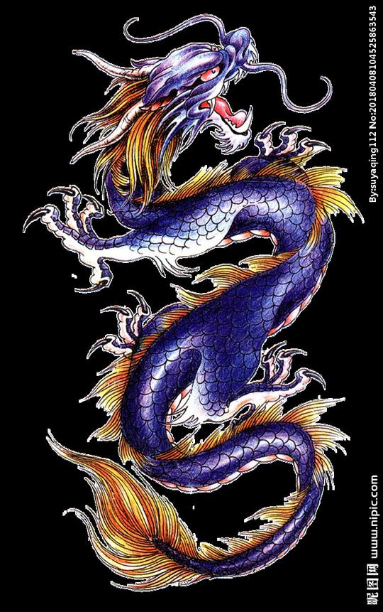 龙素材图片