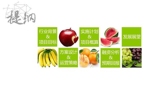 水果,鲜果,众筹,移动支付,物流,仓储,冷链,创业,合伙人,项目计划书