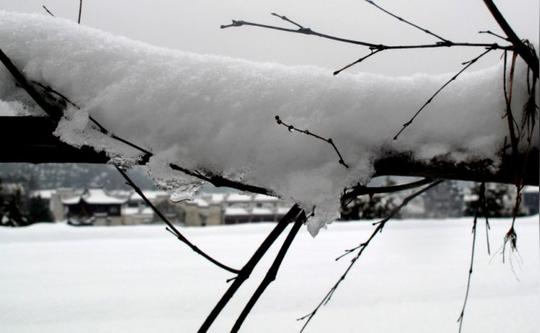 西递又下雪了_古风悠悠_新浪博客
