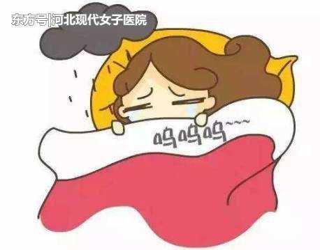 女人2019年11月怀孕几号生