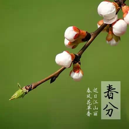 春分孩子要注意什么