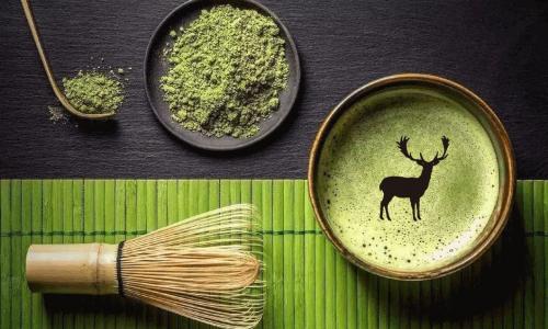 茶饮加盟小鹿轻茶,轻松实现创业梦