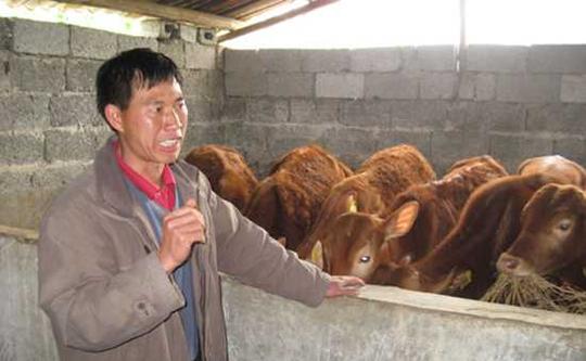 农村适合投资开办什么小型加工厂致富插图