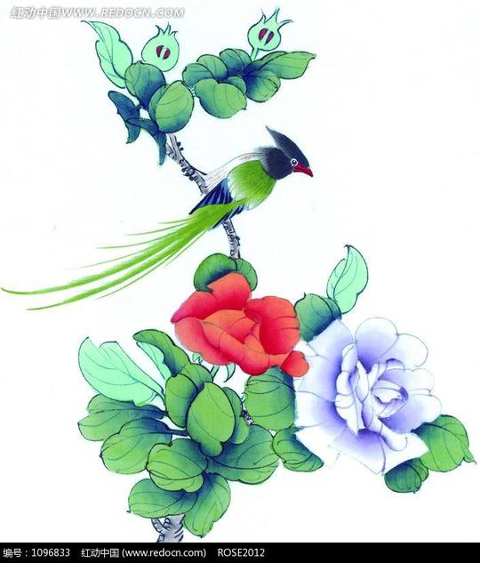 文化艺术书画文字牡丹枝头的绿色长尾鸟工笔画请您分享:素材描述