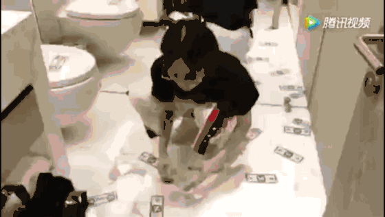 让baby钟丽缇走火入魔的抖音,竟然能淘不少百元以下的