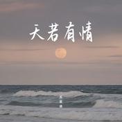 天若有情(苏星婕)