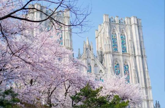 庆熙大学英文mba——生活感悟