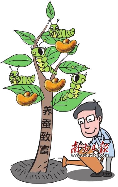 种桑养蚕渐成脱贫致富新路_第xd03版:新兴视窗·城事