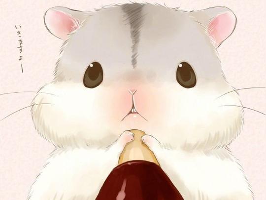 #动漫资源社#画师仮名ゆたか画笔下的仓鼠太可爱了！一只只小团子软乎乎的看着好想捏(*´∇`