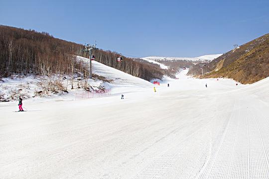 滑雪场滑雪_图片大全—全景创意图库（quanjing.com）中国领先的正版图片视频素材网站