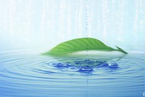 善待地球就是善待自己这句有关什么方面的名言警句 友邦知识网