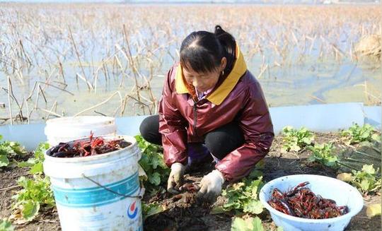 这3种致富道路,在农村最常见,赚的钱虽辛苦但最踏实