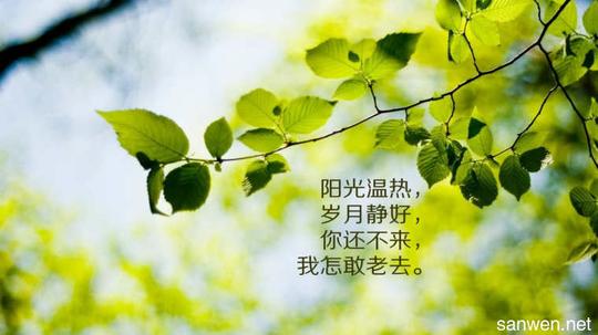 有关人生哲理的感言,人生哲学的感悟句子