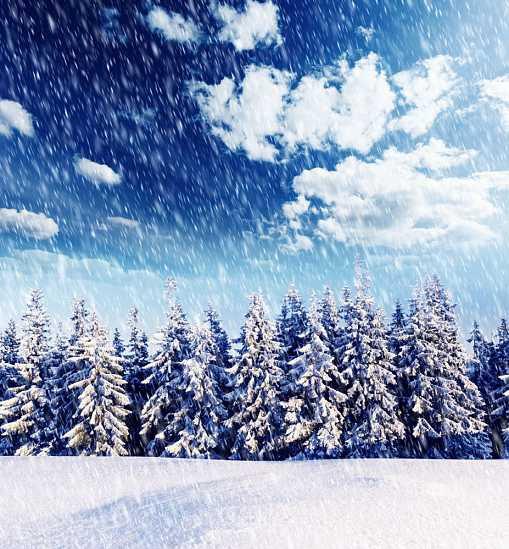 冬季下雪图片素材,冬季,冬天,雪景,美丽风景,景色,美景,雪景,积雪