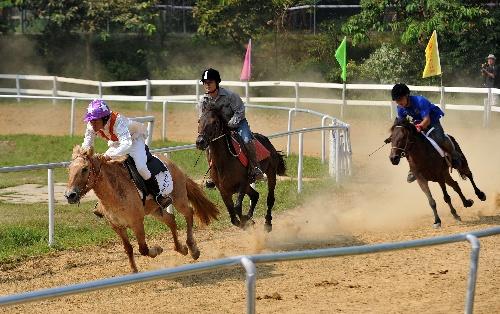 广西举办首届马术公开赛尘土飞扬