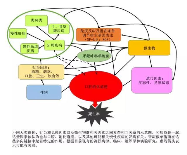 幼儿预防龋齿的知识