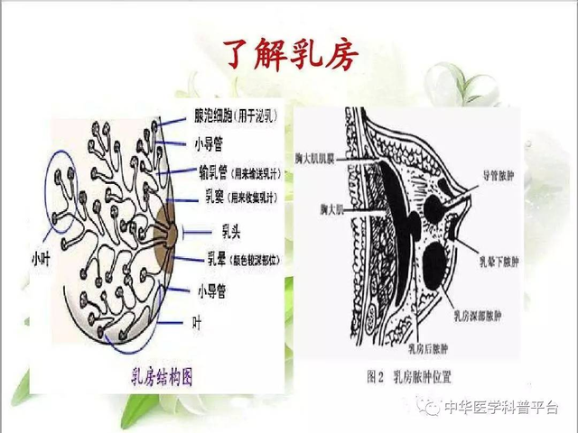 乳腺炎脓肿宝宝都没得喂奶