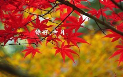 十月结束的心情说说