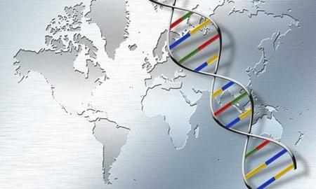 生物技术行业:从产前诊断到肿瘤基因检测