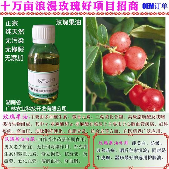 万元小本创业当老板-广林玫瑰产业暴利招商加盟-赚翻了!