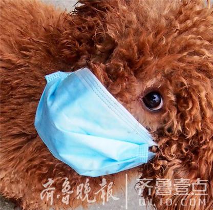 宝宝食物呛到鼻子怎么办