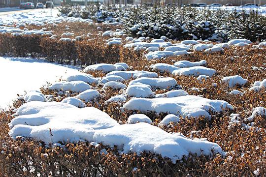 冬季_雪_影_图片大全—全景创意图库（quanjing.com）中国领先的正版图片视频素材网站