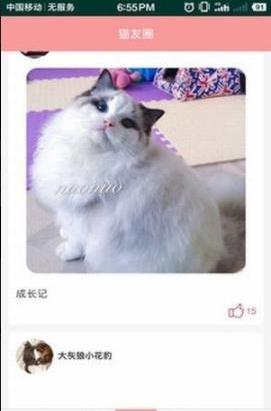爱猫咪app下载|爱猫咪手机版下载_快啦网