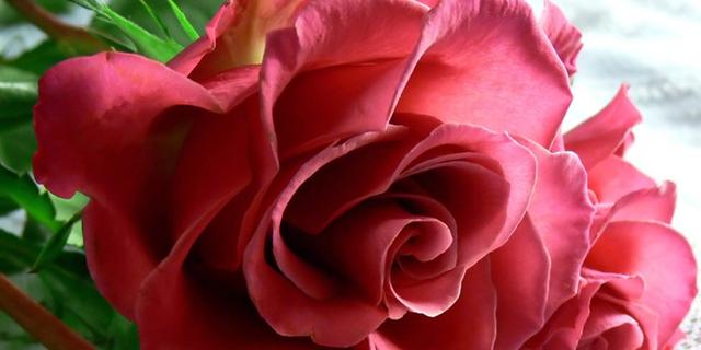 结婚周年纪念日感言简短