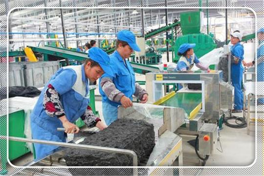 政府扶持办厂项目