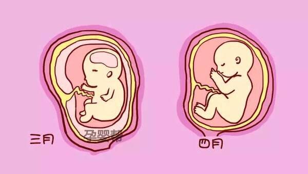 怀孕10天能测出来吗?