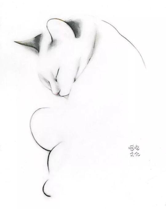 教你几笔画一只猫