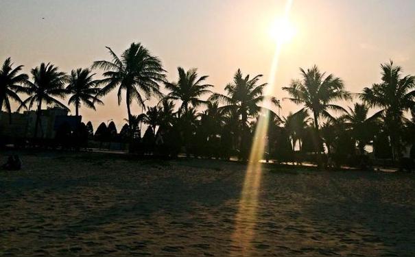 十,与大地共春任其所以与日月同辉顺乎自然?