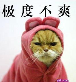 看不我大爽，极度不爽表情包