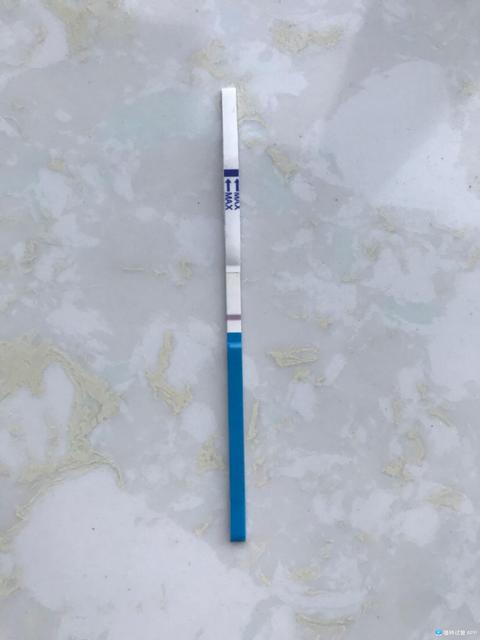 一个冷冻胚胎移植成功率高吗