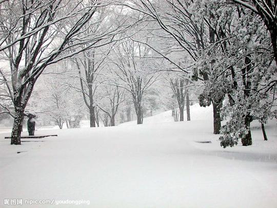 雪景背景素材_雪景_古风雪景素材_大雪纷飞图片_奇奇下载网