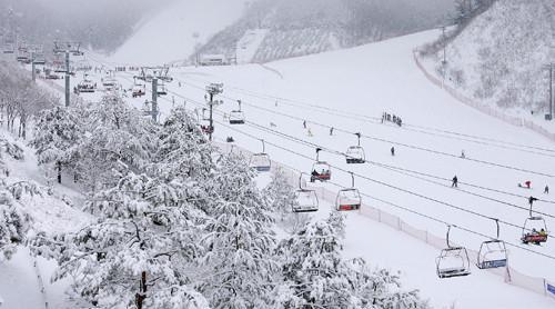 滑雪温泉乐园