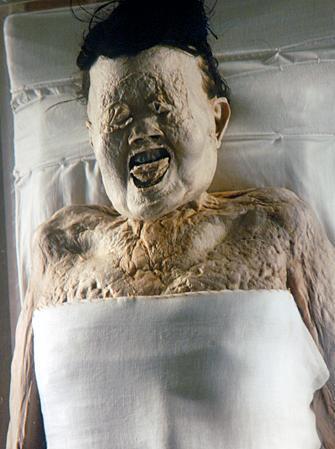 一郎灵异61墓穴养尸千年不腐僵尸之说是否可究