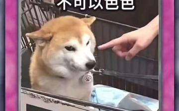 色色动态图李毅吧18期表情包