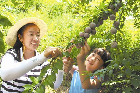 吴红菊从广州返宜创业年收入过50万不忘帮扶贫困户