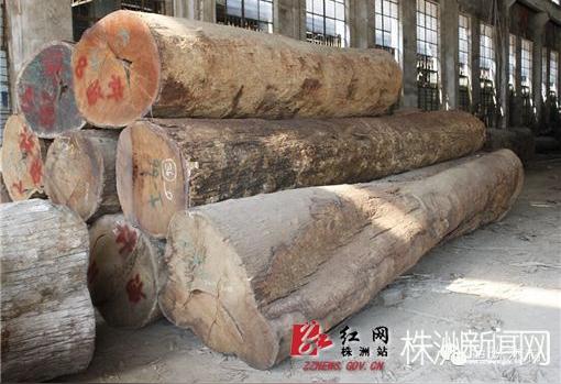 曾老板经营木材生意10多年,对木材市场的风水轮流转已经习以为常.