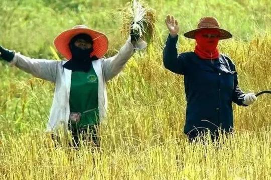 农村赚钱说真的不易,这三个农村项目,看看是否适合自己