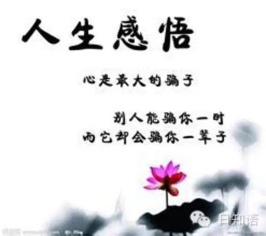 培根人生经典语录:和庄子人生哲学有什么差异?